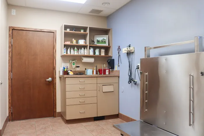 Companion Care Animal Hospital Picture 6