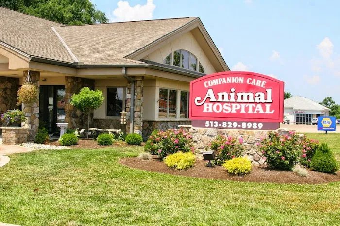 Companion Care Animal Hospital Picture 9