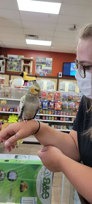 Petland Fairfield Picture 7