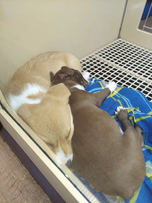 Petland Fairfield Picture 2