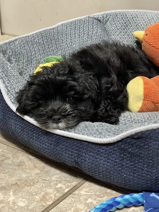 Petland Fairfield Picture 3