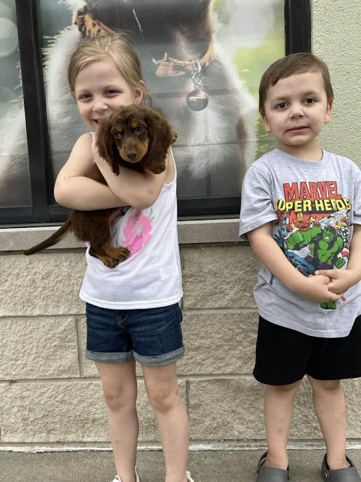 Petland Fairfield Picture 5