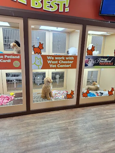Petland Fairfield Picture 9