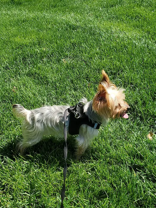 Animal Care Center of Fairfield Picture 7