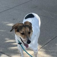 Animal Care Center of Fairfield ico