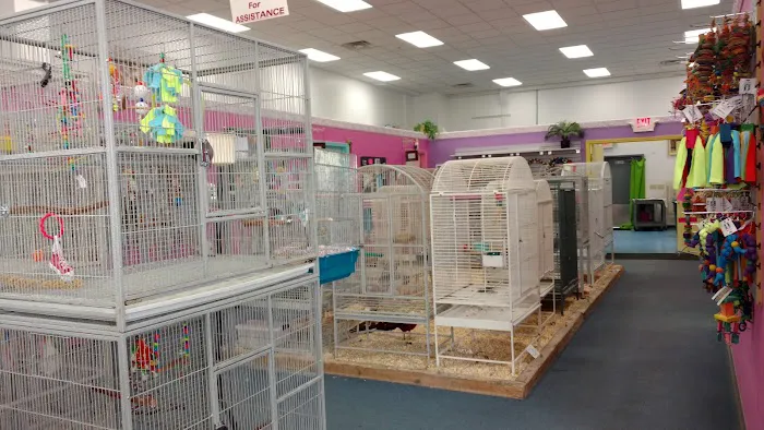 The Bird Shoppe Picture 10