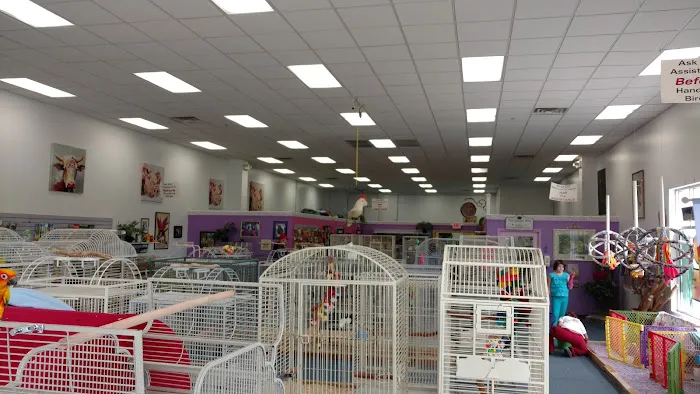 The Bird Shoppe Picture 4