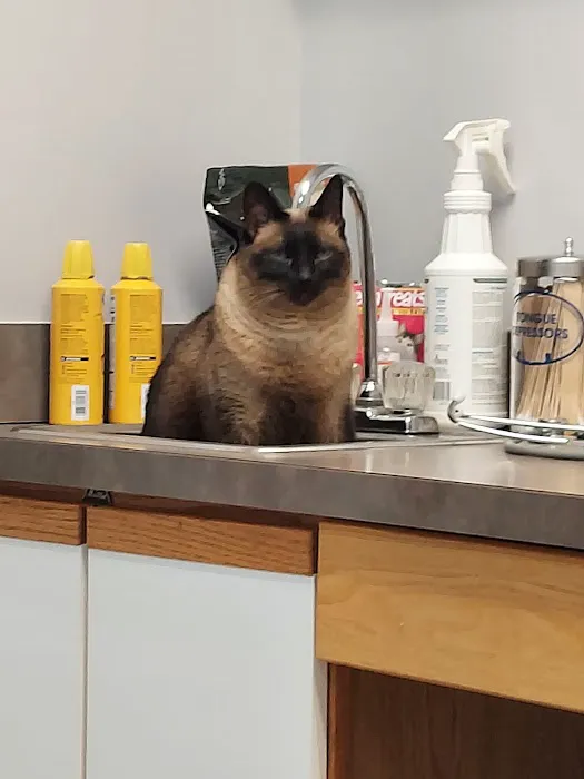 Freeland Animal Hospital Picture 9