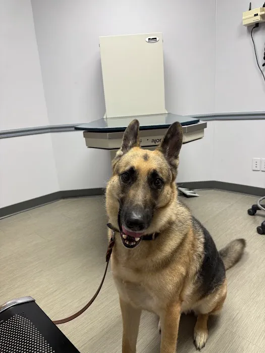 Freeland Animal Hospital Picture 5