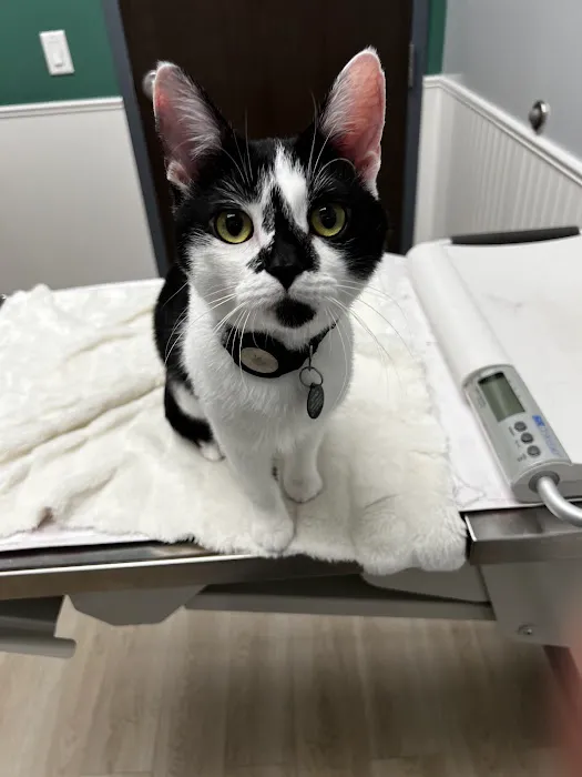 Oaklandon Family Vet Picture 10
