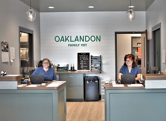 Oaklandon Family Vet Picture 4