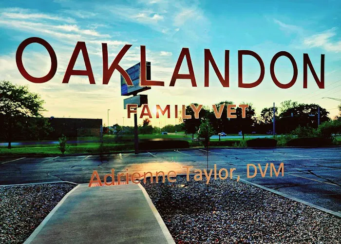Oaklandon Family Vet Picture 7