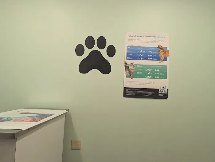 Ft. Harrison Veterinarians Picture 8