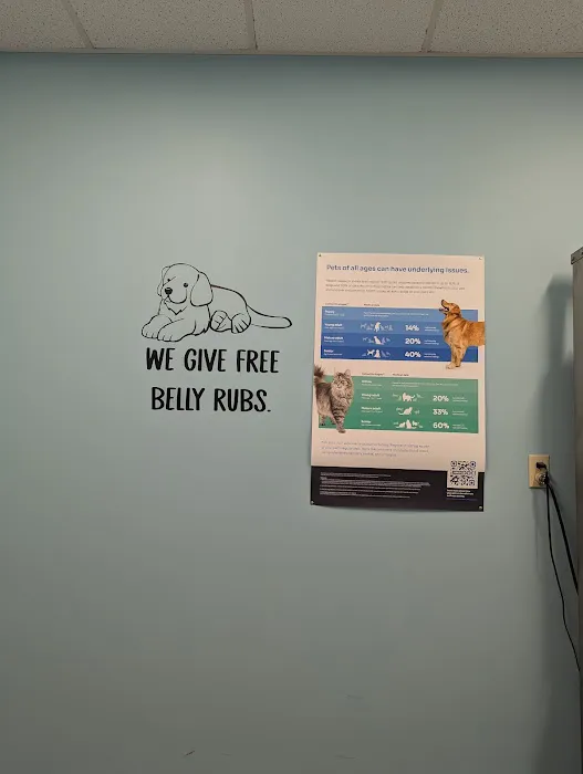 Ft. Harrison Veterinarians Picture 5