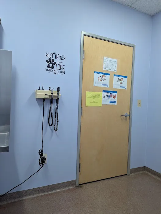 Ft. Harrison Veterinarians Picture 10