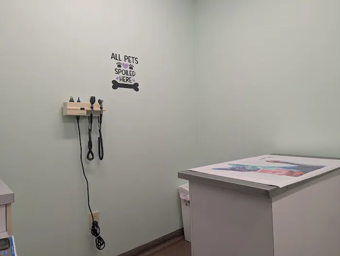 Ft. Harrison Veterinarians Picture 4