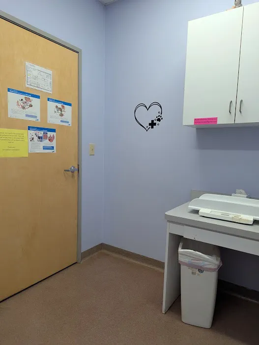 Ft. Harrison Veterinarians Picture 9