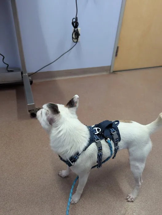 Ft. Harrison Veterinarians Picture 1