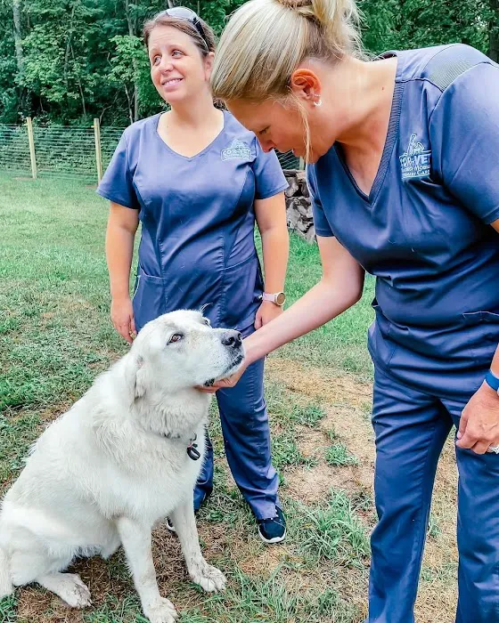 Cor-Vet Veterinary Clinic Fortville Picture 2