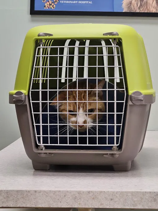 McCordsville Veterinary Hospital Picture 8