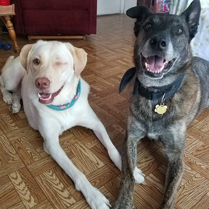 Fall Creek Veterinary Medical Center Picture 9