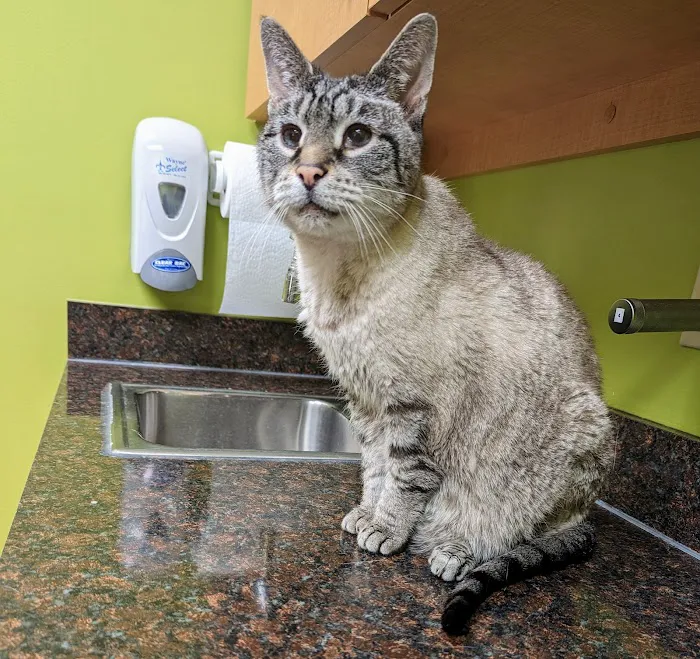 Fall Creek Veterinary Medical Center Picture 3
