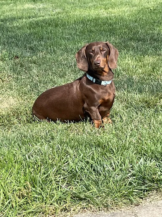 Fall Creek Veterinary Medical Center Picture 10