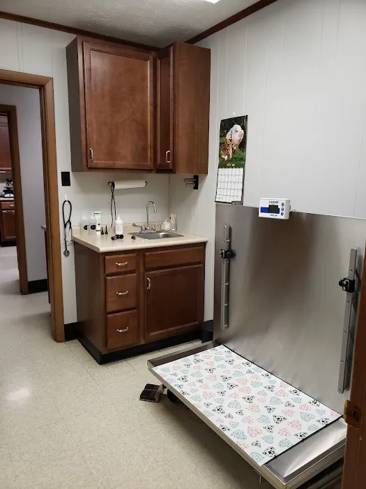 Green Lawn Animal Clinic Picture 3