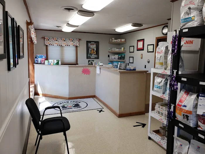 Green Lawn Animal Clinic Picture 2