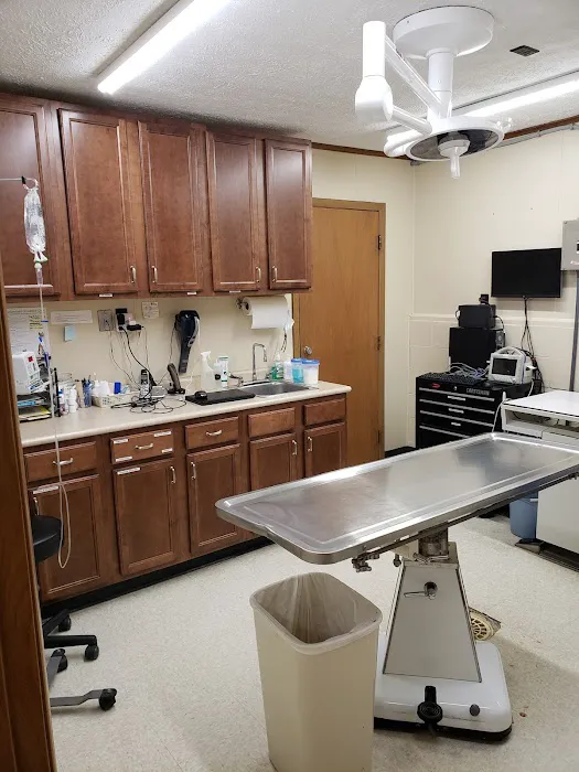 Green Lawn Animal Clinic Picture 5