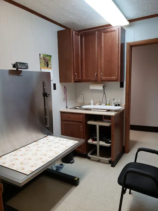 Green Lawn Animal Clinic Picture 4