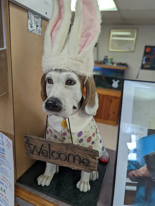 Edgetown Veterinary Clinic And Laser Center Picture 1