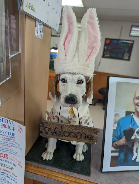 Edgetown Veterinary Clinic And Laser Center Picture 2