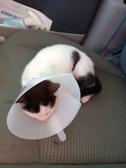 Parker Veterinary Service Picture 2