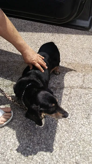 Parker Veterinary Service Picture 10