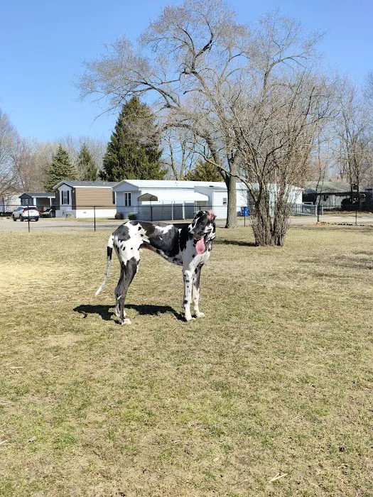 Riverview Animal Hospital Picture 1