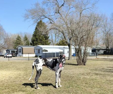Riverview Animal Hospital