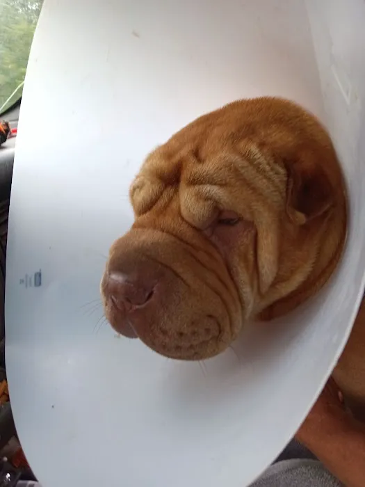 Riverview Animal Hospital Picture 9