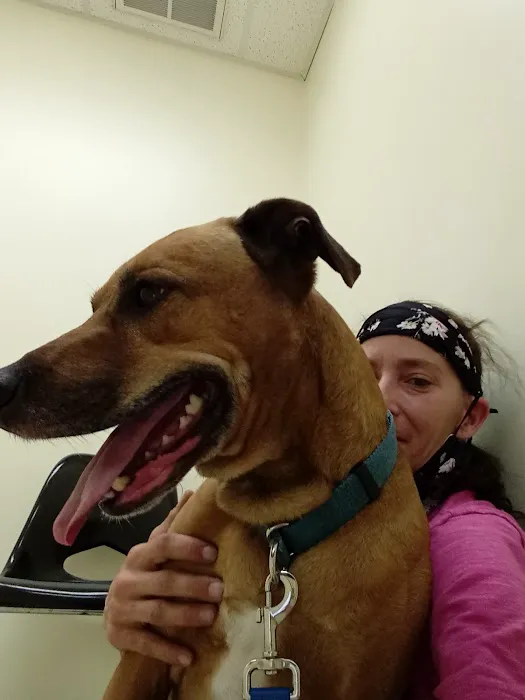 Riverview Animal Hospital Picture 2