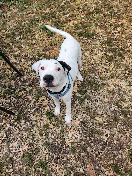Germantown Animal Health Center Picture 10