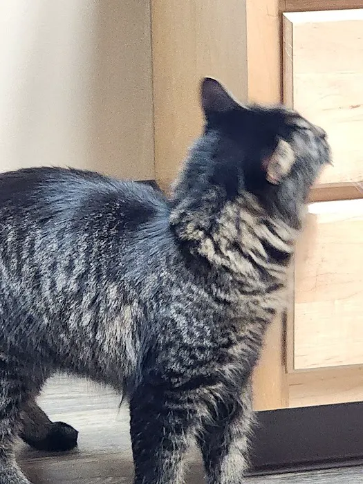 Germantown Animal Health Center Picture 9