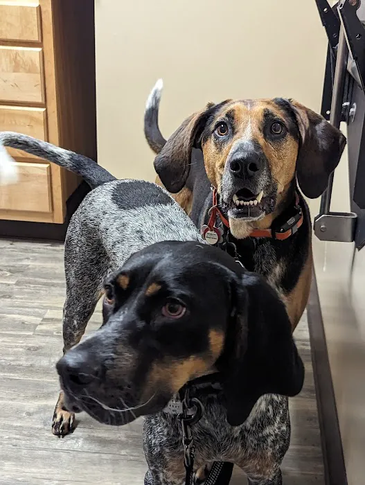 Germantown Animal Health Center Picture 4
