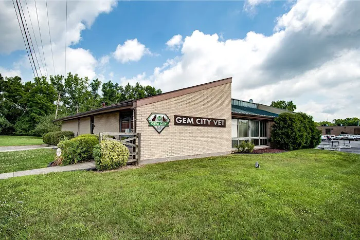 Gem City Vet Picture 4