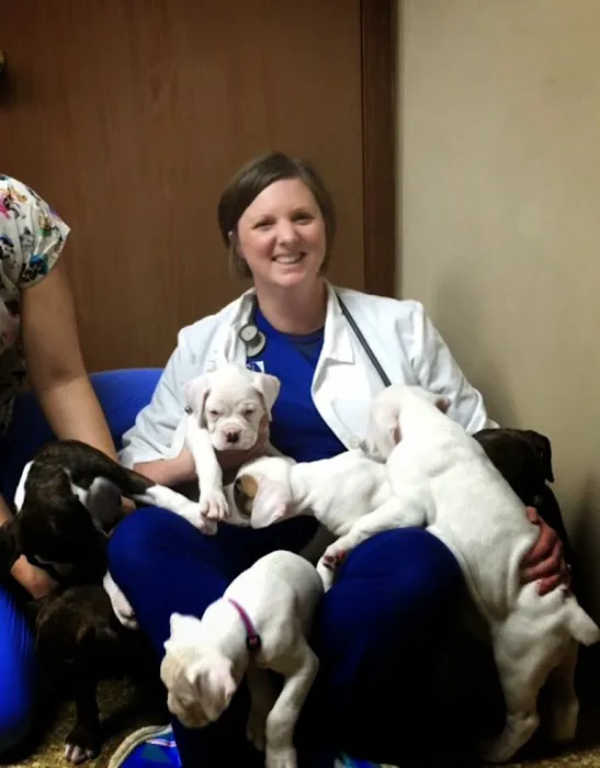 Animal Medical Center of Miamisburg Picture 2