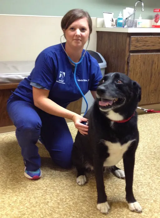 Animal Medical Center of Miamisburg Picture 5