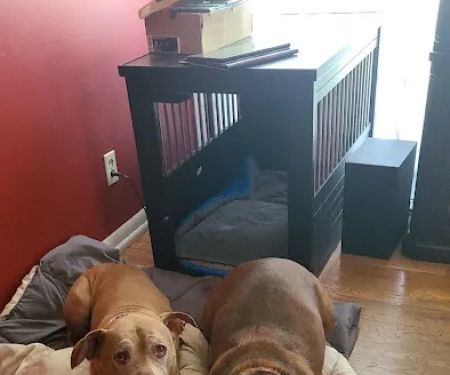 Great Miami Veterinary Care (prev AMC Miamisburg)