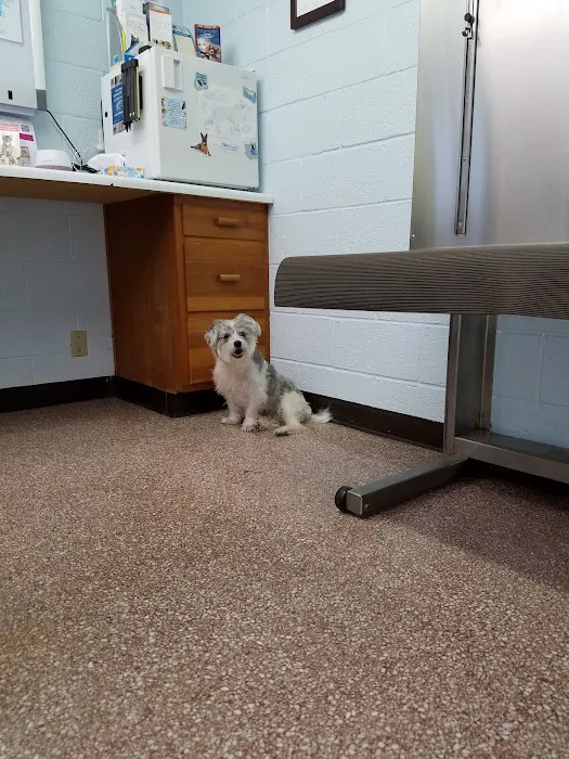 Westview Animal Clinic Picture 1