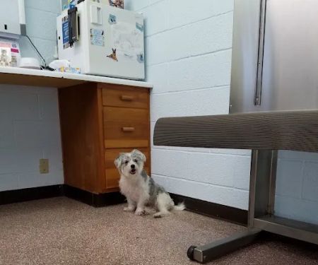 Westview Animal Clinic