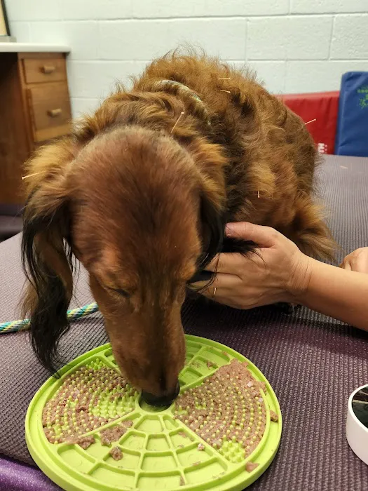 Westview Animal Clinic Picture 6