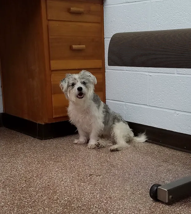Westview Animal Clinic Picture 10